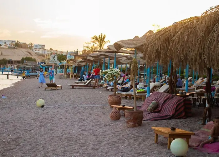 Hotel Sharks Bay Oasis Aqua Park Resort 4*