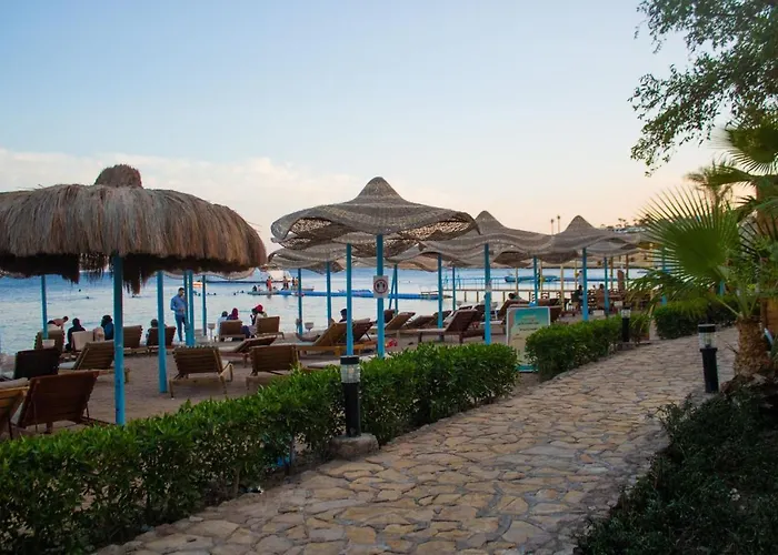Hotel Sharks Bay Oasis Aqua Park Resort
