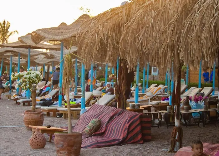 Sharks Bay Oasis Aqua Park Resort
