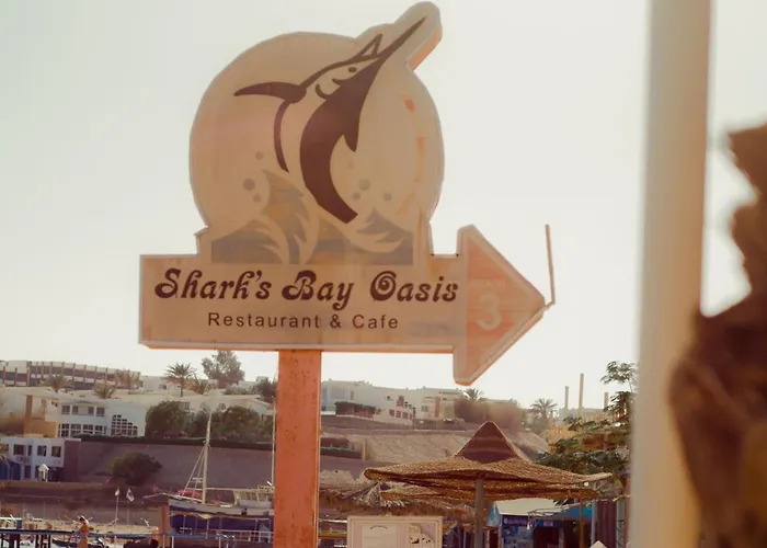 Sharks Bay Oasis Aqua Park Resort Hotel