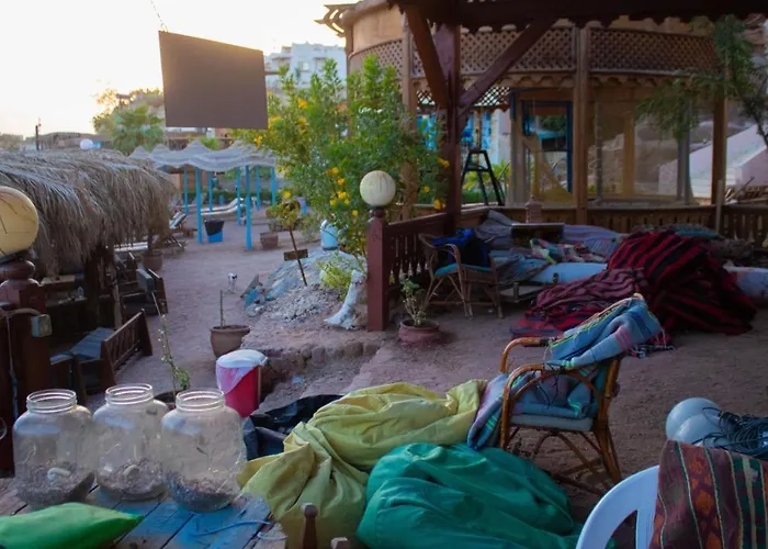 Hotel Sharks Bay Oasis Aqua Park Resort