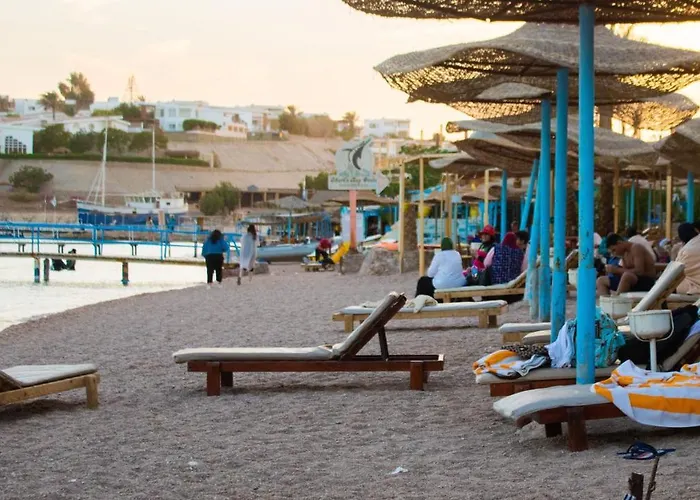 Sharks Bay Oasis Aqua Park Resort Hotel 4*