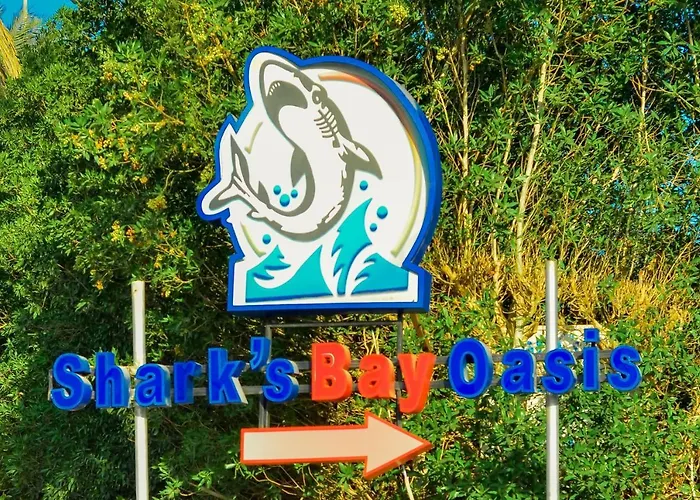 Sharks Bay Oasis Aqua Park Resort 4*