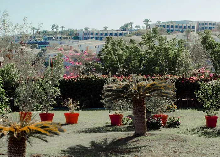 Hotel Sharks Bay Oasis Aqua Park Resort
