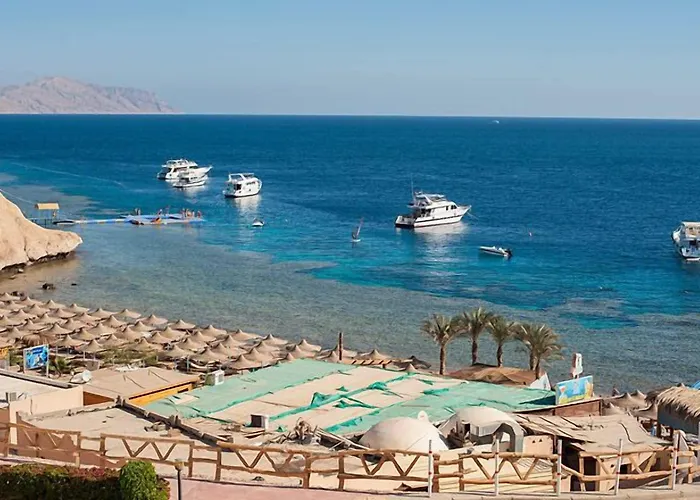 Sharks Bay Oasis Aqua Park Resort 4*